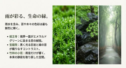 雨粒をまとった鮮やかな緑色の苔のアップ。「祇王寺」「宝厳院」「竹林の小径」の見どころを紹介し、それぞれの雨の日の魅力を解説するテキスト。