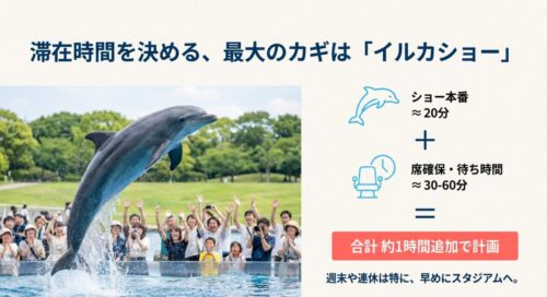 京都水族館の滞在時間を決める最大の鍵はイルカショー。ショー本番約20分に加え、席確保の待ち時間30~60分を考慮し、合計約1時間を追加で計画する必要があります。