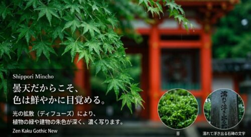 雨露に濡れた美しい苔のアップと、水に濡れて文字が浮き出た石碑の写真