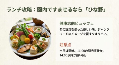 旬の野菜をふんだんに使った「ひな野」のビュッフェ料理。ジャンクフードのイメージを覆す健康的でクオリティの高いランチメニュー