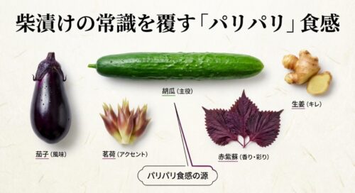 胡瓜を主役に、茄子、茗荷、生姜、赤紫蘇が組み合わさり、パリパリとした食感と風味を生み出していることを解説した図解。