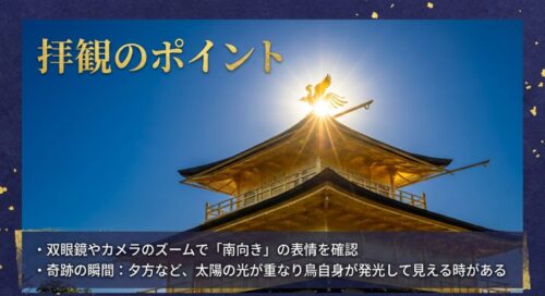 双眼鏡やカメラのズームでの観察や、夕方に鳥が発光して見える奇跡の瞬間など、金閣寺の拝観ポイントを紹介したスライド画像