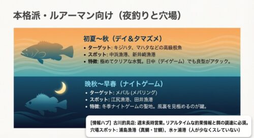 デイゲームでの高級根魚や冬季ナイトゲームでのメバルを狙うルアーマン向けスポットと情報ハブについて解説するスライド画像